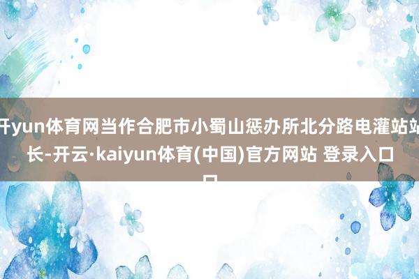 开yun体育网当作合肥市小蜀山惩办所北分路电灌站站长-开云·kaiyun体育(中国)官方网站 登录入口