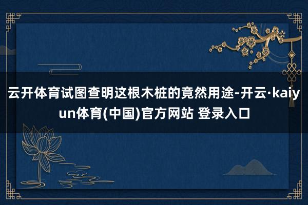 云开体育试图查明这根木桩的竟然用途-开云·kaiyun体育(中国)官方网站 登录入口