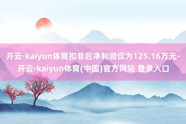 开云·kaiyun体育扣非后净利润仅为125.16万元-开云·kaiyun体育(中国)官方网站 登录入口