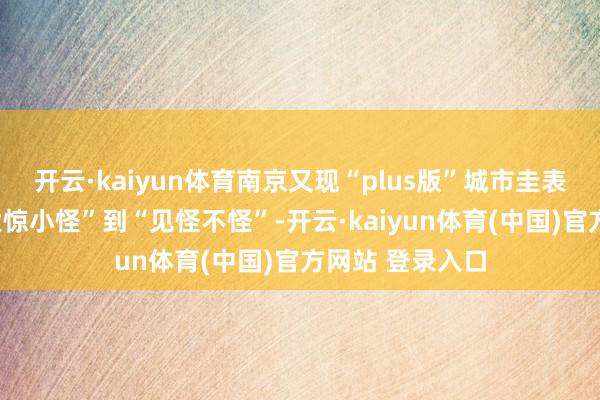 开云·kaiyun体育南京又现“plus版”城市圭表！网友：从“大惊小怪”到“见怪不怪”-开云·kaiyun体育(中国)官方网站 登录入口