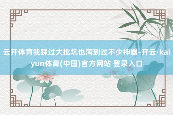 云开体育我踩过大批坑也淘到过不少神器-开云·kaiyun体育(中国)官方网站 登录入口